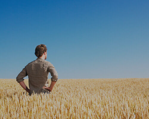 Homem no campo olhando para o horizonte